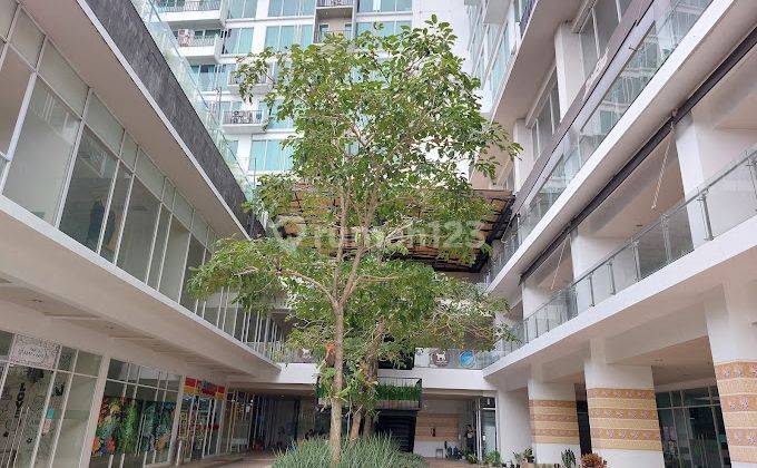 Apartemen Type Studio Tree Park Bsd Tangerang 2