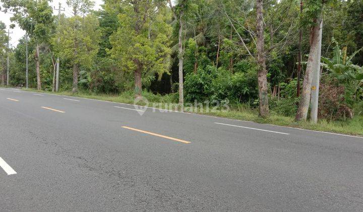 Dijual Tanah Jalan Raya Provinsi Jalan Wates Purworejo Di Kulonprogo Timur Bandara Internasional Yogyakarta E.2624 10