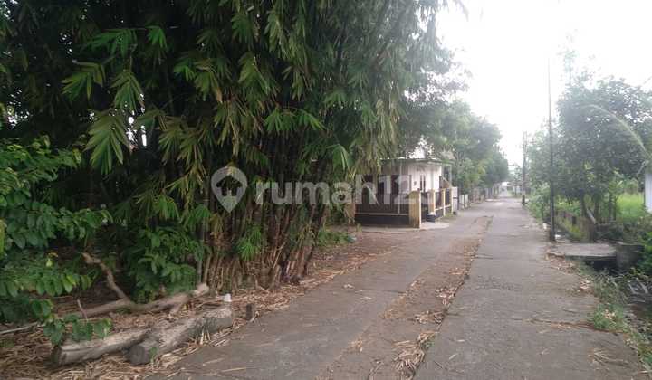 Dijual Tanah Utara Resto Mbah Wanto Berbah Jogjakarta Kode D.2613 4