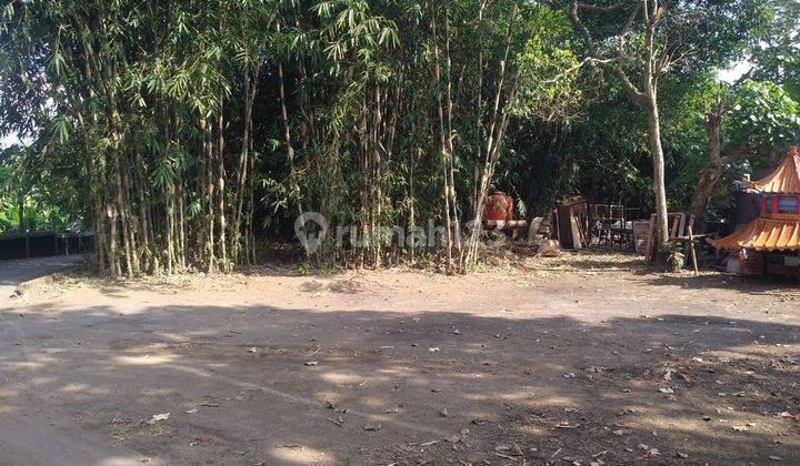 Dijual Tanah Pekarangan Selatan Perempatan Krikilan Berbah Jogjakarta Kode D.2610 2