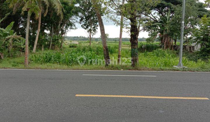 Dijual Tanah Jalan Raya Provinsi Jalan Wates Purworejo Di Kulonprogo Timur Bandara Internasional Yogyakarta E.2624 9