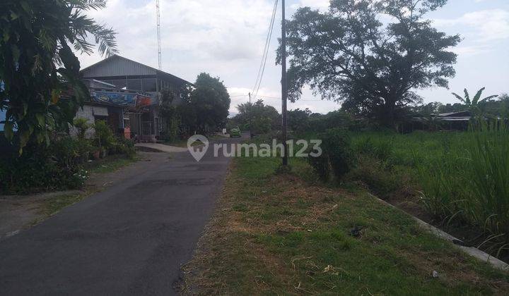 Disewakan Tanah Selatan Paskhas Berbah Jogjakarta Kode Dr.785  4