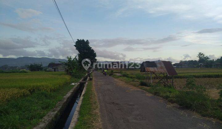 Dijual Tanah Sawah Utara Pondok Pesantren Mts Dan Ma Ibnul Qoyyim Putra Berbah Yogyakarta D.2636 5