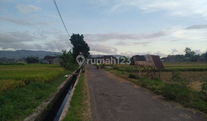 Dijual Tanah Sawah Utara Pondok Pesantren Mts Dan Ma Ibnul Qoyyim Putra Berbah Yogyakarta D.2636 6
