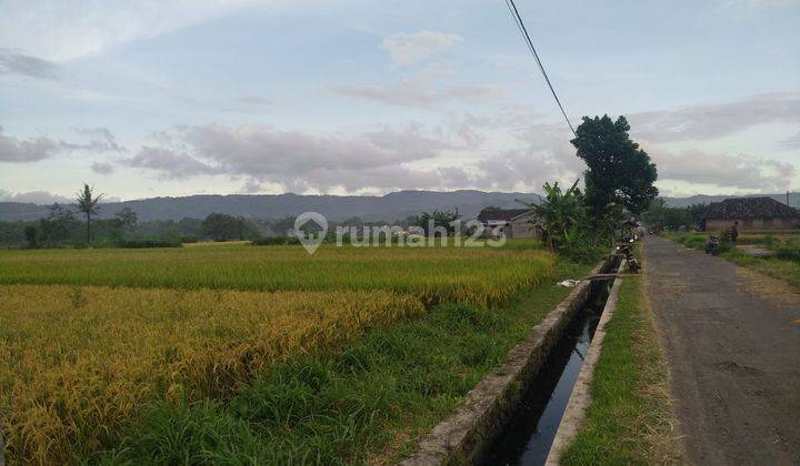 Dijual Tanah Sawah Utara Pondok Pesantren Mts Dan Ma Ibnul Qoyyim Putra Berbah Yogyakarta D.2636 9
