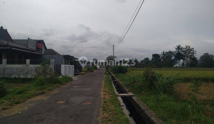 Dijual Tanah Sawah Utara Pondok Pesantren Mts Dan Ma Ibnul Qoyyim Putra Berbah Yogyakarta D.2636 10