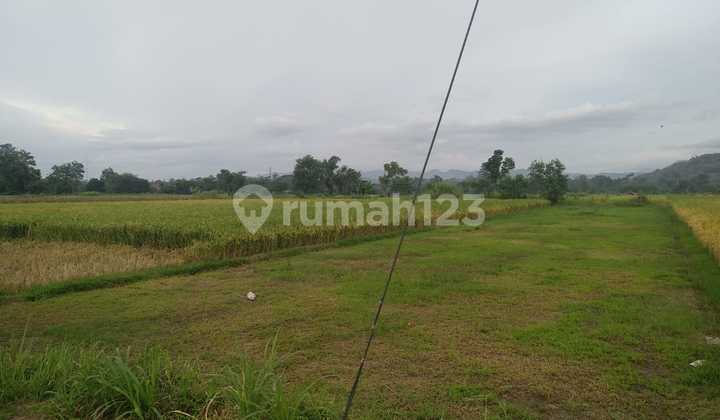 Dijual Tanah Sawah Utara Pondok Pesantren Mts Dan Ma Ibnul Qoyyim Putra Berbah Yogyakarta D.2636 12