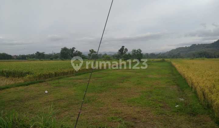 Dijual Tanah Sawah Utara Pondok Pesantren Mts Dan Ma Ibnul Qoyyim Putra Berbah Yogyakarta D.2636 13