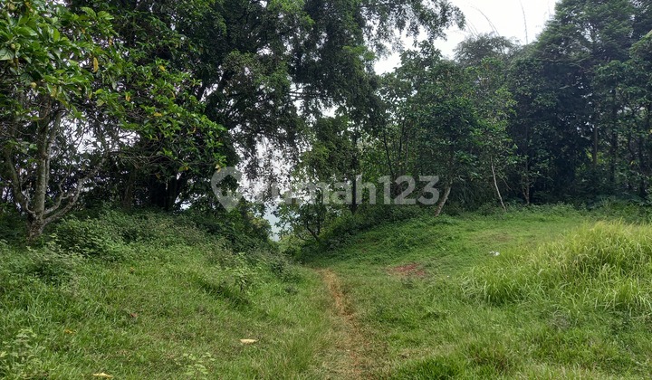 Cheap Land in Cariu Mekarsari Bogor, Lot Size 68,990 M2 Near Harmoni Farm House