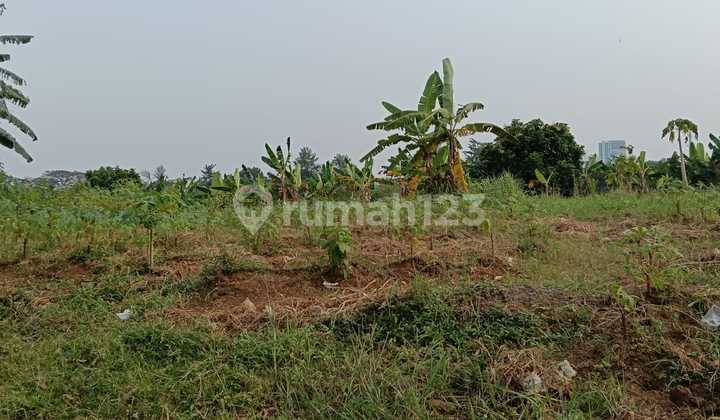 For Rent 5,000 m2 Land Jl Lengkong Karya BSD City For Rent 5,000 m2 Land Jl Lengkong Karya BSD City