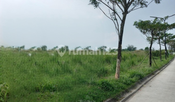 Murah Kavling Komersial Luas 1,200 m2 Podomoro Tenjo Murah Kavling Komersial Luas 1,200 m2 Podomoro Tenjo