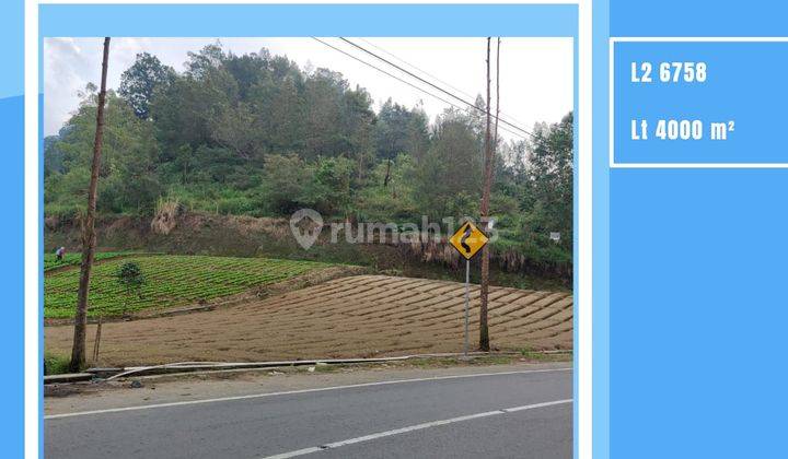 Edisi Bu Tanah Luas Strategis di Sumber Brantas Kota Batu  1