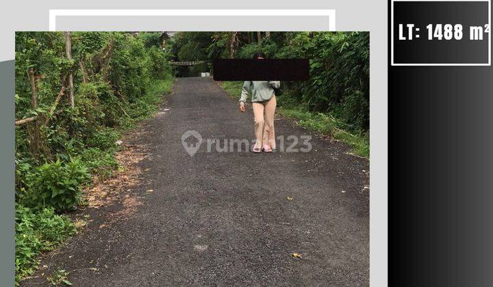 Tanah Super Luas Murah Siap Bangun di Denpasar Utara 1