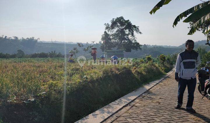 Rumah Cantik Modern Konsep Villa di Griya Tama Karangploso  2