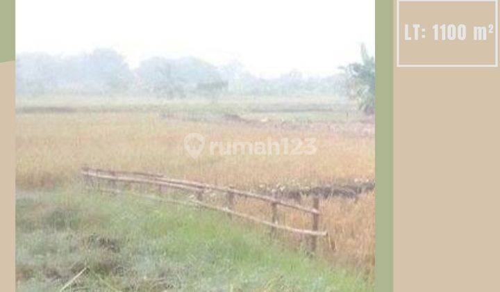 Tanah Sawah Super Luas Strategis di Cerme Gresik 1