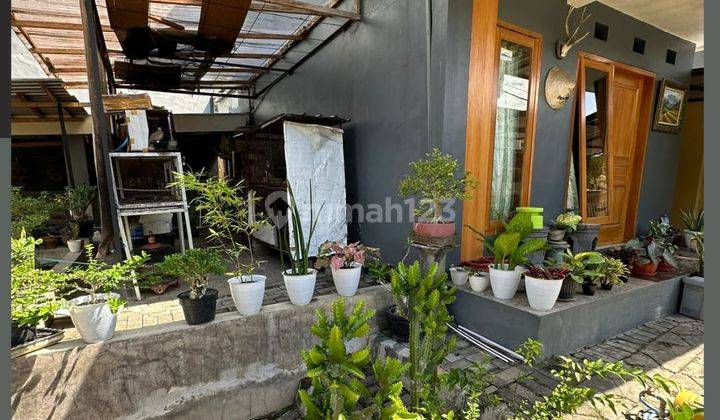 Rumah Murah Luas Strategis Posisi Hook di Dieng Malang  1