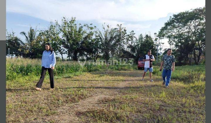 Edisi Bu Tanah Luas Strategis di Junrejo Kota Batu  1