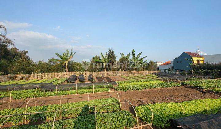 Tanah Luas Subur View Pegunungan Murah Strategis di Kota Batu  2