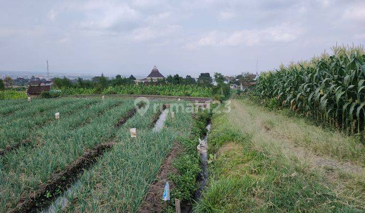 Tanah Sawah Subur Super Murah Luas Strategis di Kota Batu  2