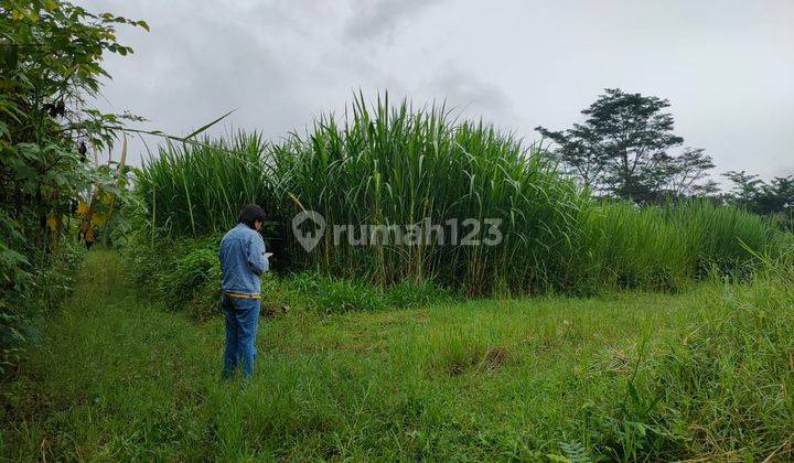 Edisi Bu Tanah Luas Super Murah Strategis di Kota Batu  2