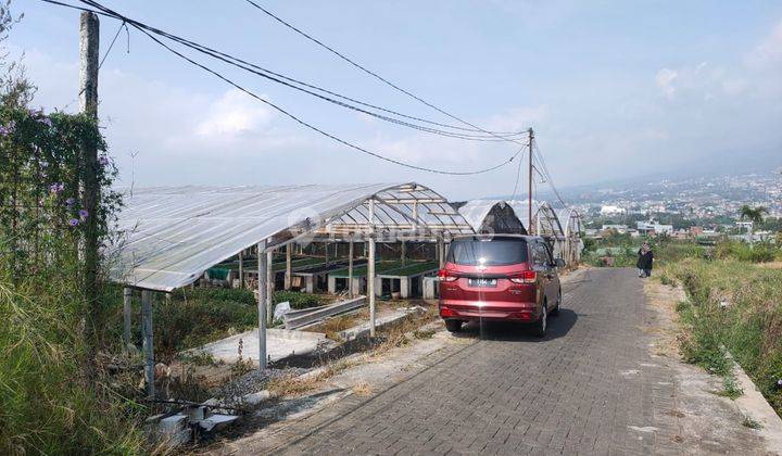 Edisi Bu Tanah Luas Strategis Untuk Perkebunan di Kota Batu 2