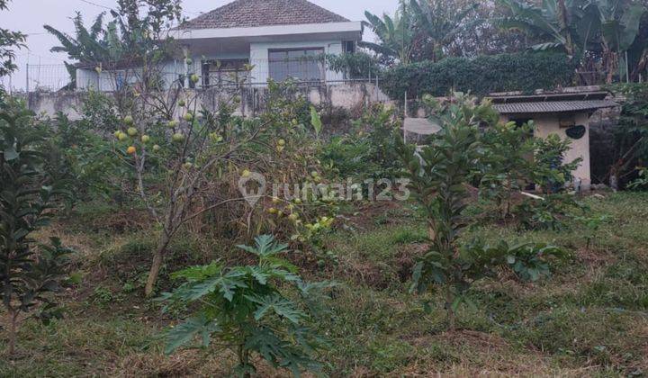 Tanah Kebun Buah Luas Subur Produktif di Bulukerto Kota Batu  1