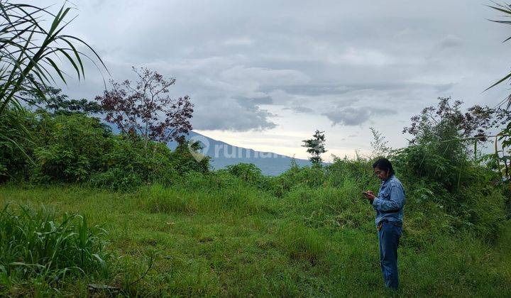 Tanah Murah Siap Bangun Potensial Lokasi Dekat Wisata Kota Batu 2