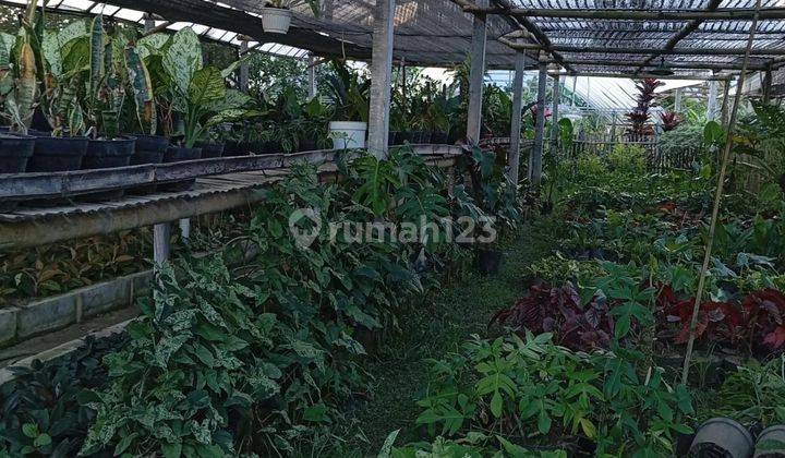 Tanah Kebun Subur Untuk Tanaman Bunga Luas Termurah Di Kota Batu 2