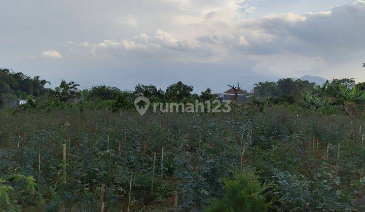 Tanah Murah Luas Akses Mobil Pusat Kota di Bumiaji Kota Batu 2