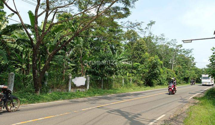 Tanah Bagus Raya Rangkasbitung Lebak Banten 1