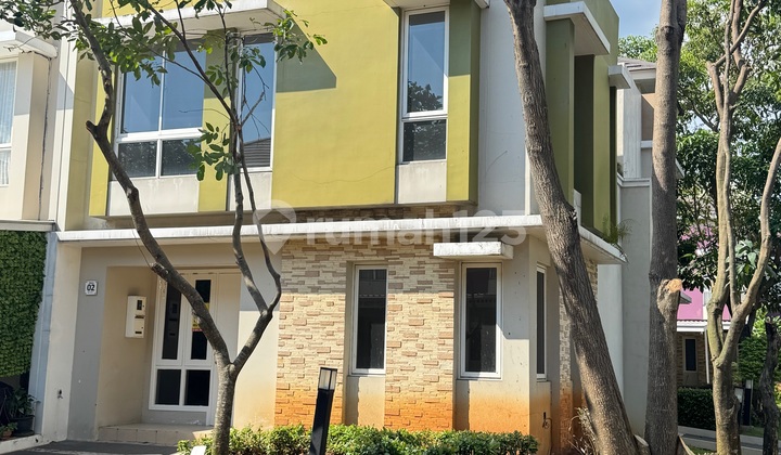 Good Neat Cluster Thomson Hook Width 7