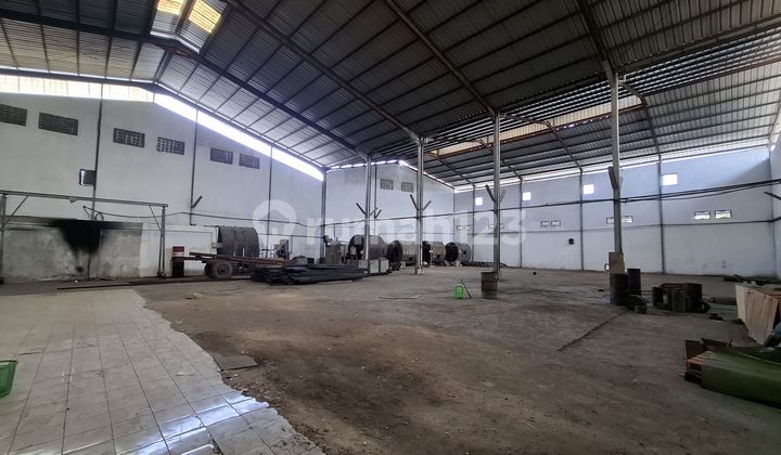 Ready-to-Use Kapuk Warehouse