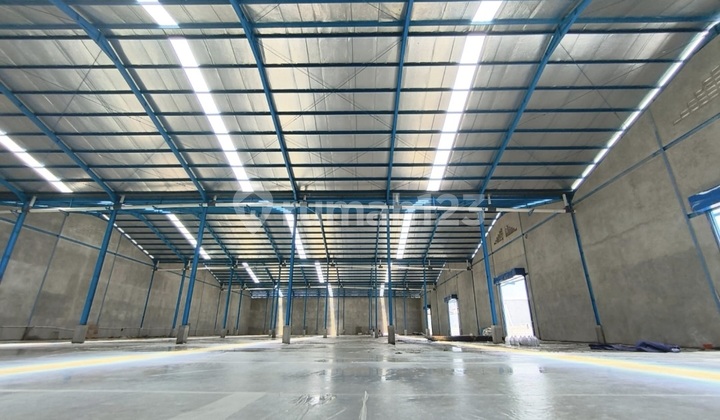 Large Warehouse in Kapuk. Brand New Warehouse