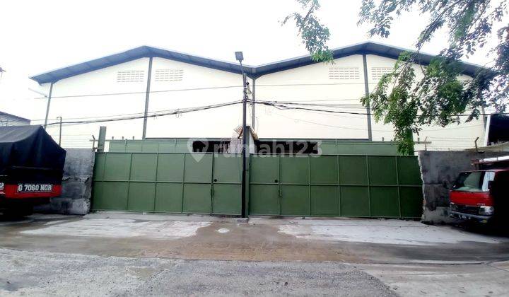 GUDANG BARU DI KAPUK  SIAP HUNI