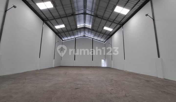 Warehouse Kapuk Peternakan Baru Brandnew