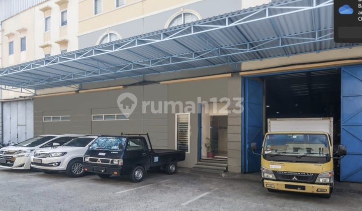 Neat Sea Eagle Large Warehouse