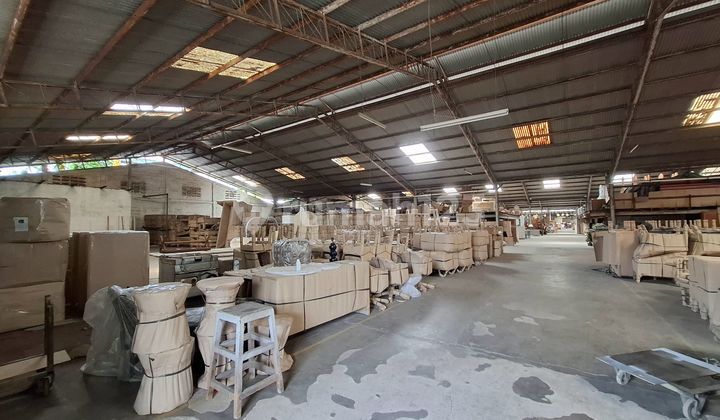 Gudang Kapuk Mangga Ubi