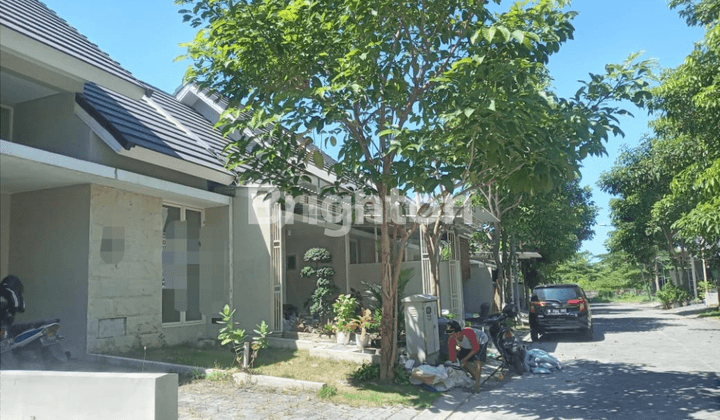 RUMAH CITRALAND SURABAYA RUMAH 1 KAMAR DI CITRALAND NORTHWEST PARK 2