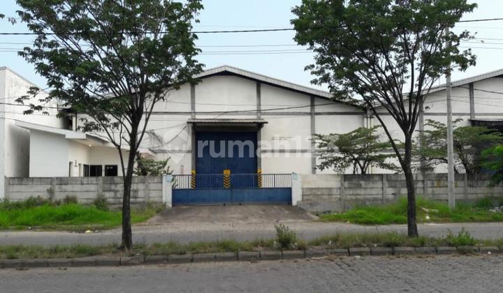 Gudang Bumi Maspion Romokalisari Selangkah Ke Tol Siap Pakai Gudang Bumi Maspion Romokalisari Selangkah Ke Tol Siap Pakai