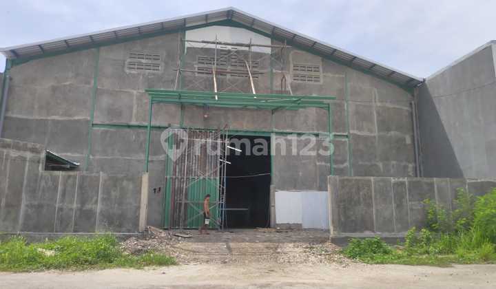 Warehouse Ready to Use Container Access Near New Toll Road Renovation Elevated Land Maspion Romokalisari