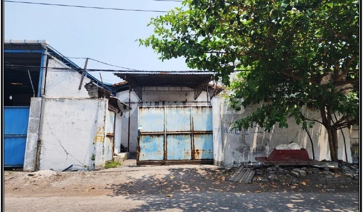 Gudang Siap Huni Bebas Banjir Akses Kontainer Double Gate Margomulyo Surimulia Gudang Siap Huni Bebas Banjir Akses Kontainer Double Gate Margomulyo Surimulia