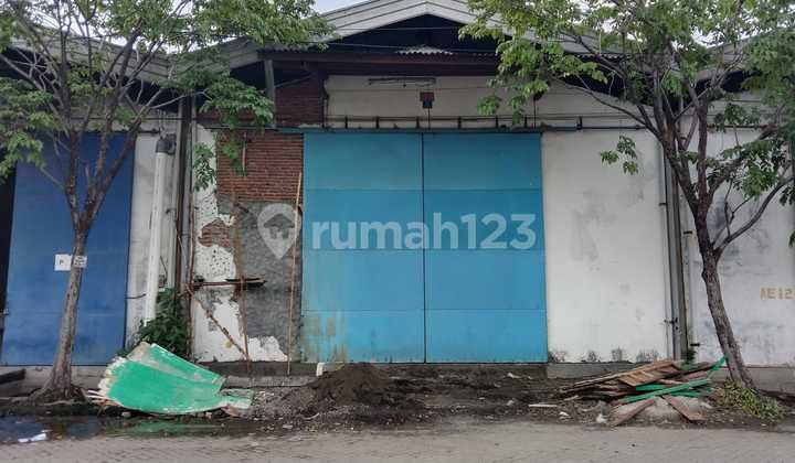 Gudang Siap Pakai Akses Kontainer Sudah Direnovasi Ditinggikan Main Road Margomulyo Permai Gudang Siap Pakai Akses Kontainer Sudah Direnovasi Ditinggikan Main Road Margomulyo Permai