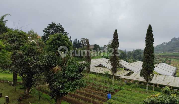 Tanah 19808 m2 Cipanas, Sukabumi Tanah 19808 m2 Cipanas, Sukabumi