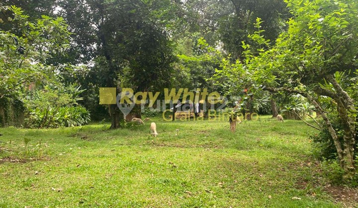 Dijual Tanah Dan Bangunan di Jl. Duren Bangka Jakarta Selatan 5