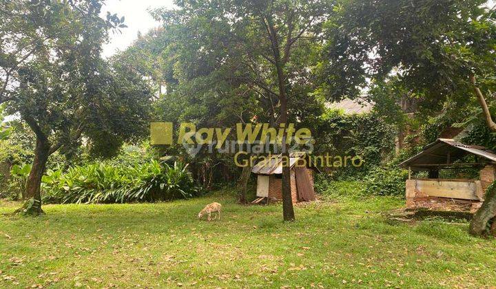 Dijual Tanah Dan Bangunan di Jl. Duren Bangka Jakarta Selatan 7