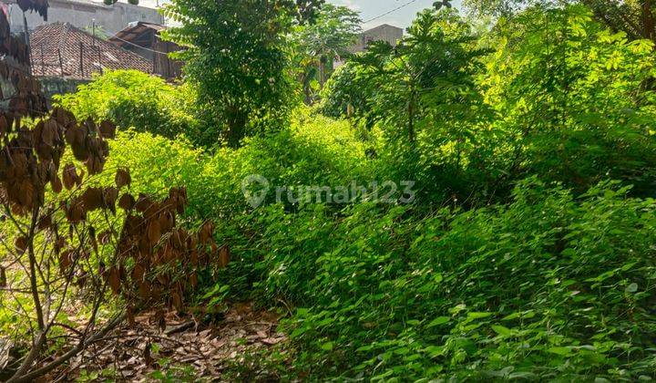 Murah Banget Tanah Cocok Workshop Dan Gudang di Pajajaran 6