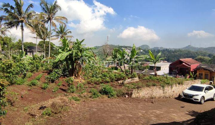 Tanah Murah Cocok Cluster Kecil Dan Berkebun di Padalarang 1