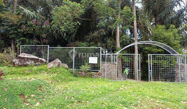 Tanah View Gunung Dan Hutan Juanda Dago, Bandung  1