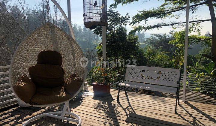 Rumah Cantik Dengan View Golf Dago Sangat Asri di Cigadung, Dago 2