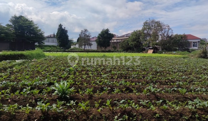 Kavling bagus dan harga termurah di Setiabudi Regency, Bandung